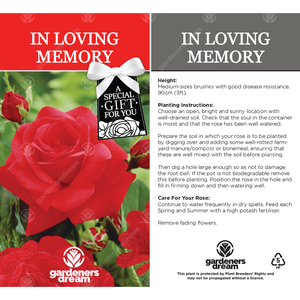 In Loving Memory Rose Bush - Red by Gardeners Dream
