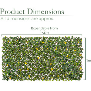 Expanding Artificial Trellis with Flowers - White by Christow