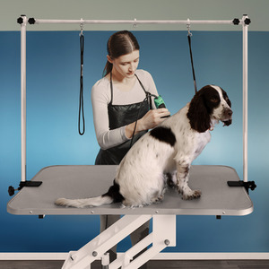 Hydraulic Pet Dog Grooming Tables Height Adjustable by Monster Shop