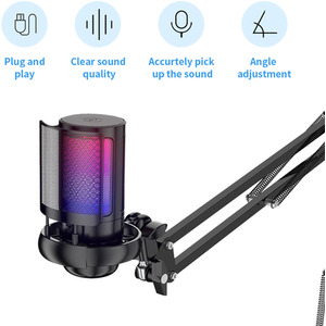 Condenser Microphone with Adjustable Boom Arm - Black by Livingandhome