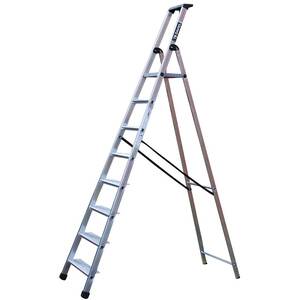 Maxi Platform Step Ladder - Silver / 262cm by TB Davies