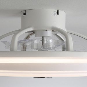 Acrylic Round LED Ceiling Fan Light with Fan Guard - White by Livingandhome