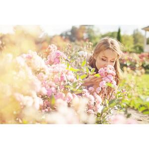 The Sensory Garden Border Mix Large Mature Plants in 3 Litre Pots by Direct Plants