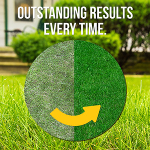 Pump Sprayer with Liquid Iron Sulphate 5L Grass Greener and Turf Hardener - Green / 10l by Pro-Kleen