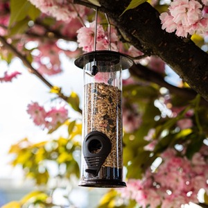 Hanging Seed Bird Feeder - Transparent by Garden Mile