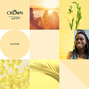 Crown Walls and Ceilings Silk Emulsion by Crown Paints