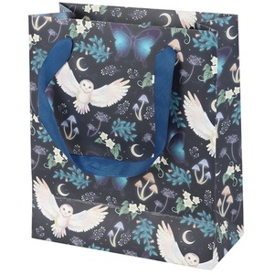 Midnight Forest Owl Print Gift Bag - Medium - 23 x 19cm by Kingsbury Gifts