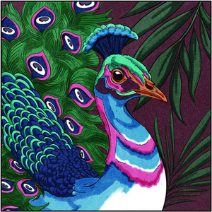 Spectrum Noir Classique 12 Pack - Jewel Tones by Spectrum Noir