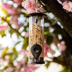 Hanging Seed Bird Feeder - Transparent by Garden Mile
