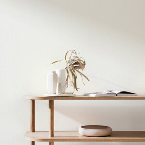 Craig and Rose Eggshell Paint - White Doe by Craig & Rose