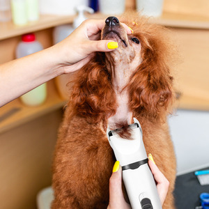 4-in-1 Pet Grooming Clipper Kit - White by Kidkid