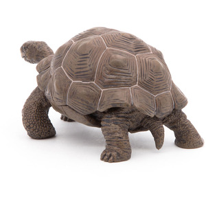 PAPO Wild Animal Kingdom Galapagos Tortoise Toy Figure - Green by PAPO