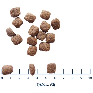 Healthy Paws Puppy Food 2KG - Turkey Brown Rice - Brown by Healthy Paws