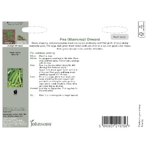 Pack of Maincrop Onward Pea Seeds by Johnsons