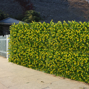 Eucalyptus Panels Wall Decoration Screen Privacy Patio Backdrop - Yellow / 1 by Livingandhome