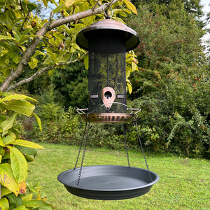 Large Bird Feeder Seed Catcher Tray - Black / 4 by Selections