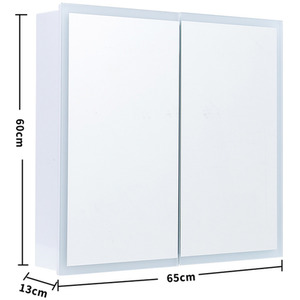 Bathroom 2-Door Mirror Cabinet with Lights - White by Livingandhome