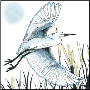 Spectrum Noir Classique 6 Pack - Tone Shade by Spectrum Noir