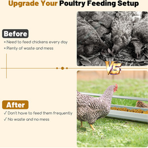 Long Chicken Feeder - Silver by Costway