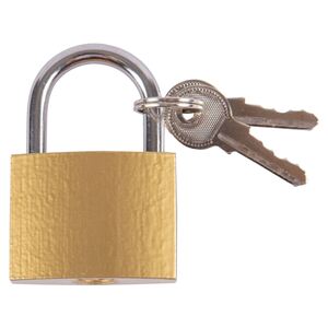 Iron Padlock Brass by Blackspur