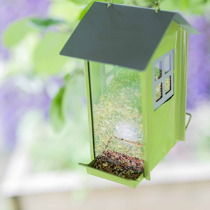 Beach Hut Bird Seed Feeder - Green by Garden Mile