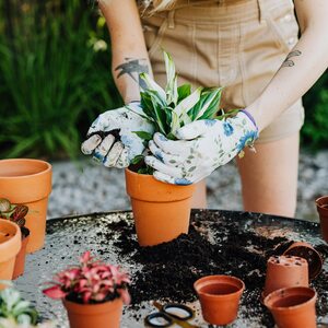 Laeto Your Signature Garden House Plant Compost - White / 20l by Laeto