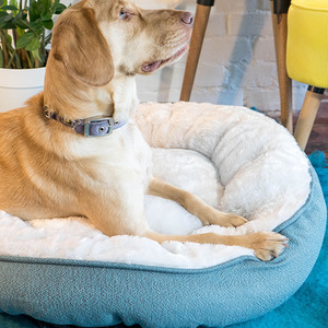 High Sided Deep Filled Donut Bed - Grey / 52cm by Dream Paws