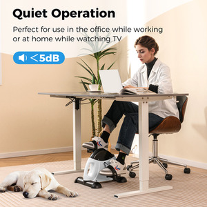 Mini Exercise Bike - White by Costway