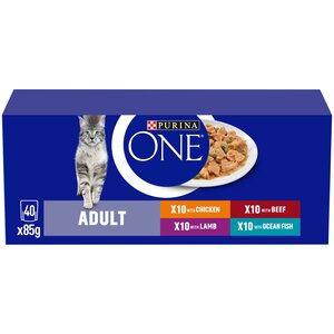 Pack of 40 Purina One Mini Fillets in Gravy by Purina One
