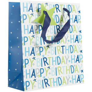 Pack of 4 Pink and Blue Birthday Medium Gift Bags - Pink and Blue