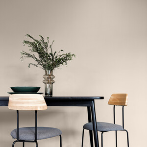 Craig and Rose Chalky Matt Emulsion by Craig & Rose