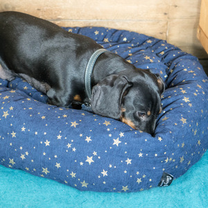Round Donut Gold Star Anti Anxiety Bed - Blue by Starry Nights