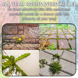 Pump Sprayer With No Grow Weed and Moss Killer - Green / 10l by Pro-Kleen