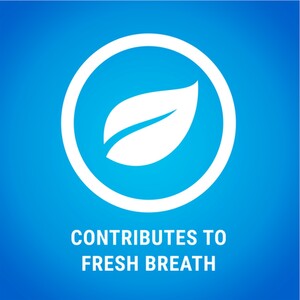 Dentalife Dog Chews - 54 by Dentalife