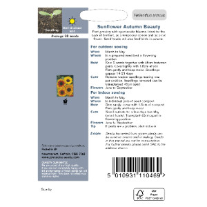 Pack of Autumn Beauty Sunflower Seeds by Johnsons