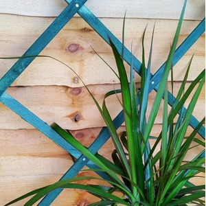 Expanding Wooden Trellis 1.8m x 0.6m - Green by Garden Mile
