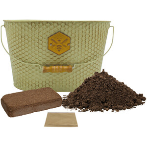 Honeycomb Trough - Green by Bee Friends