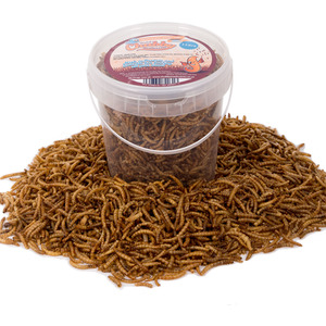 Chubby Dried Mealworms For Wild Birds - Golden by Chubby Mealworms
