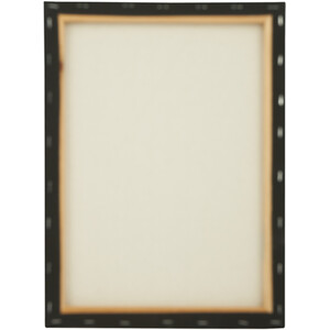 Canvas Value Set by Art Studio