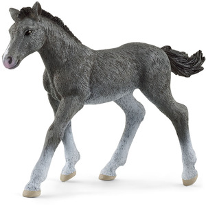 SCHLEICH Horse Club Trakehner Foal Toy Figure - Grey by SCHLEICH