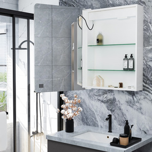 Wall-Mounted LED Bathroom Mirror Cabinet - Silver by Livingandhome