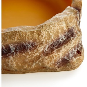 Swell Reptiles Water Dish - Yellow / 20cm by Swell Reptiles