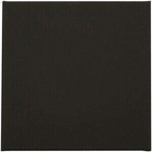 Canvas Value Set by Art Studio