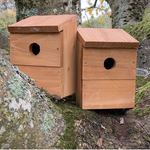 Multi-Hole Wild Bird Classic Nest Birdhouse Boxes - Brown / 2 by Selections