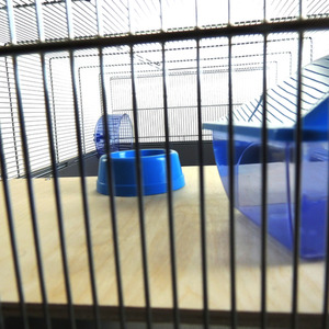 Black Ritz Rat And Hamster Cage with Shelf - Black by Little Friends