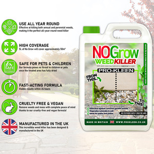 Pump Sprayer With No Grow Weed and Moss Killer - Green / 10l by Pro-Kleen