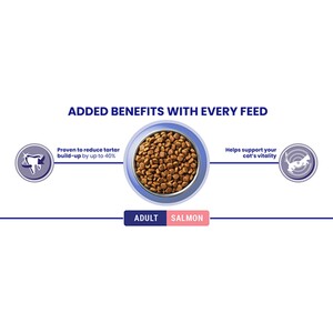 Purina ONE Adult Dry Cat Food - 3kg / Salmon and Whole Grains by Purina ONE