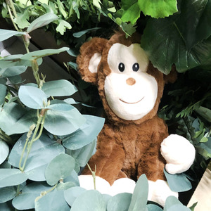 Monkey Teddy Soft Toy - 10 Inch Animal Plush - Brown by B Living