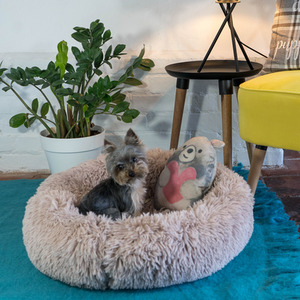 Anxiety Reducing Plush Bed with Toy - Brown by Dreampaws