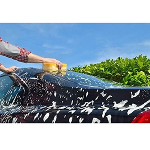 Apple and Cherry Snow Foam with Wax, Super Thick Non-Caustic Foam - Apple & Cherry by Pro-Kleen